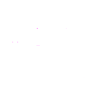 NPSD FOODS & BEVERAGES PRIVATE LIMITED